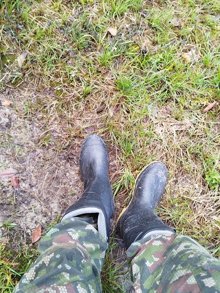 Alabestia12 Chatroom