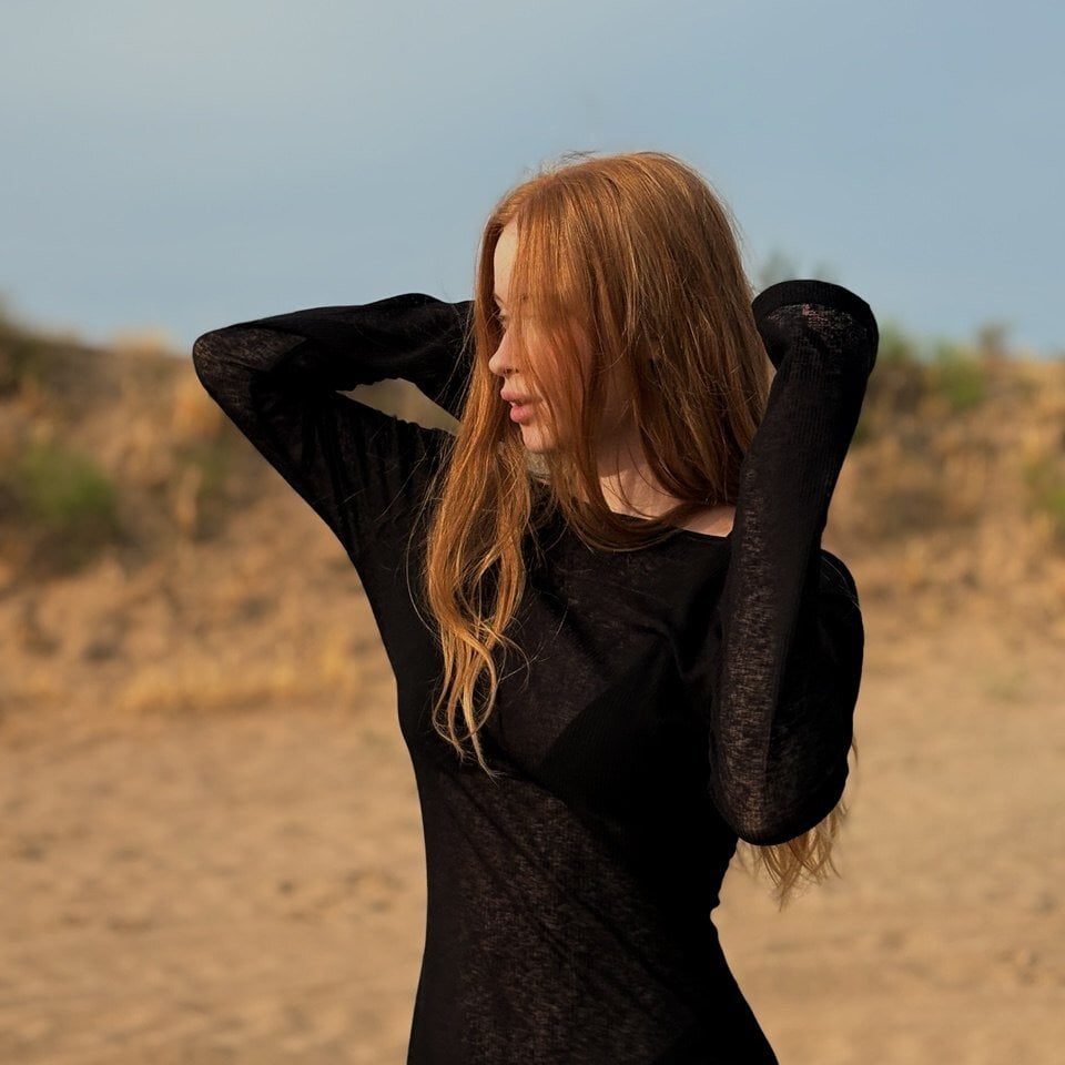 Alice_ShyFox Chatroom