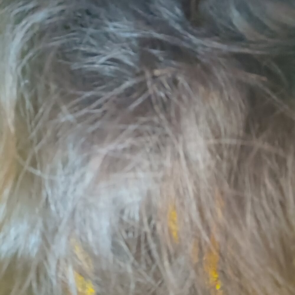 Alishababay Chatroom