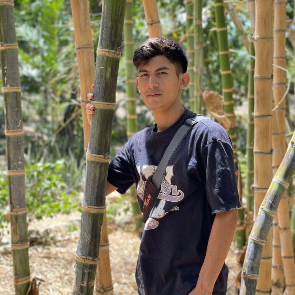 Alonso_parati Chatroom