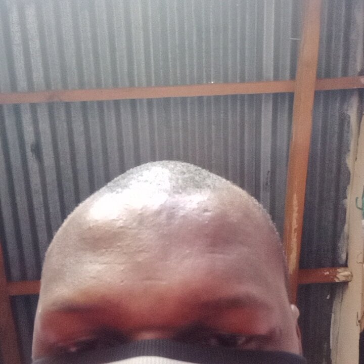 Anaconda1992 Chatroom