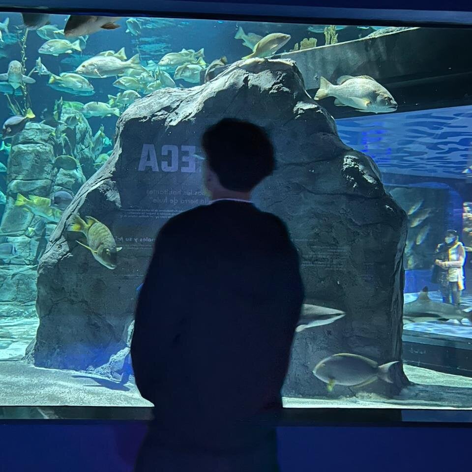 Angel_rincon Chatroom