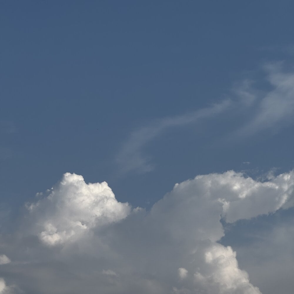 AnnoyedAnnual Chatroom