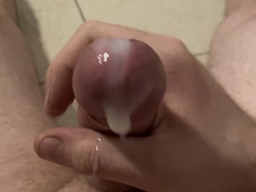 ansae11
