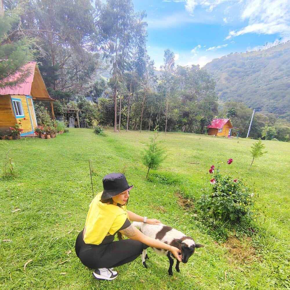 Assley_Taffy Chatroom