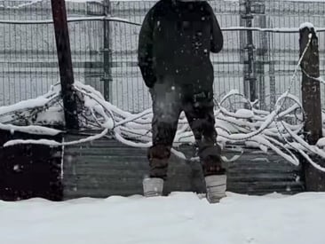 authorizedlighter339