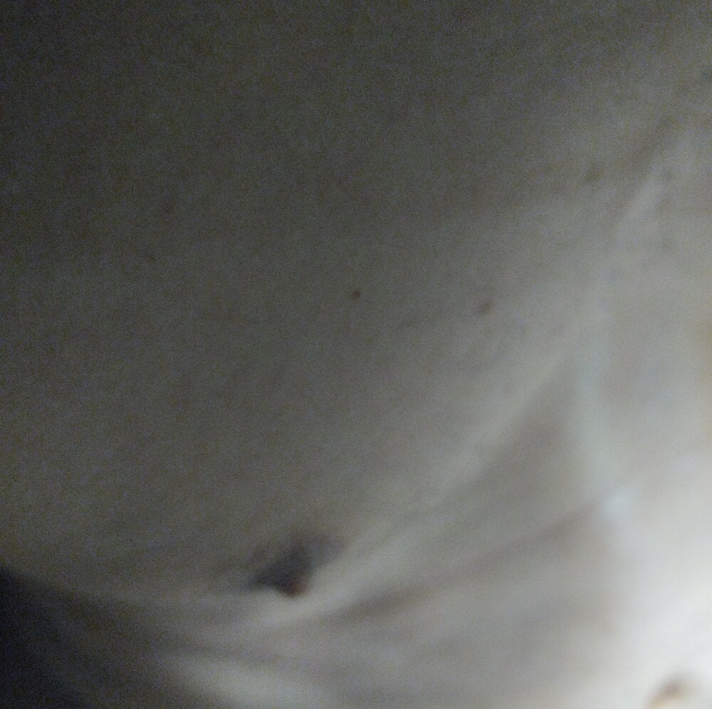 BDSM_MAN Chatroom