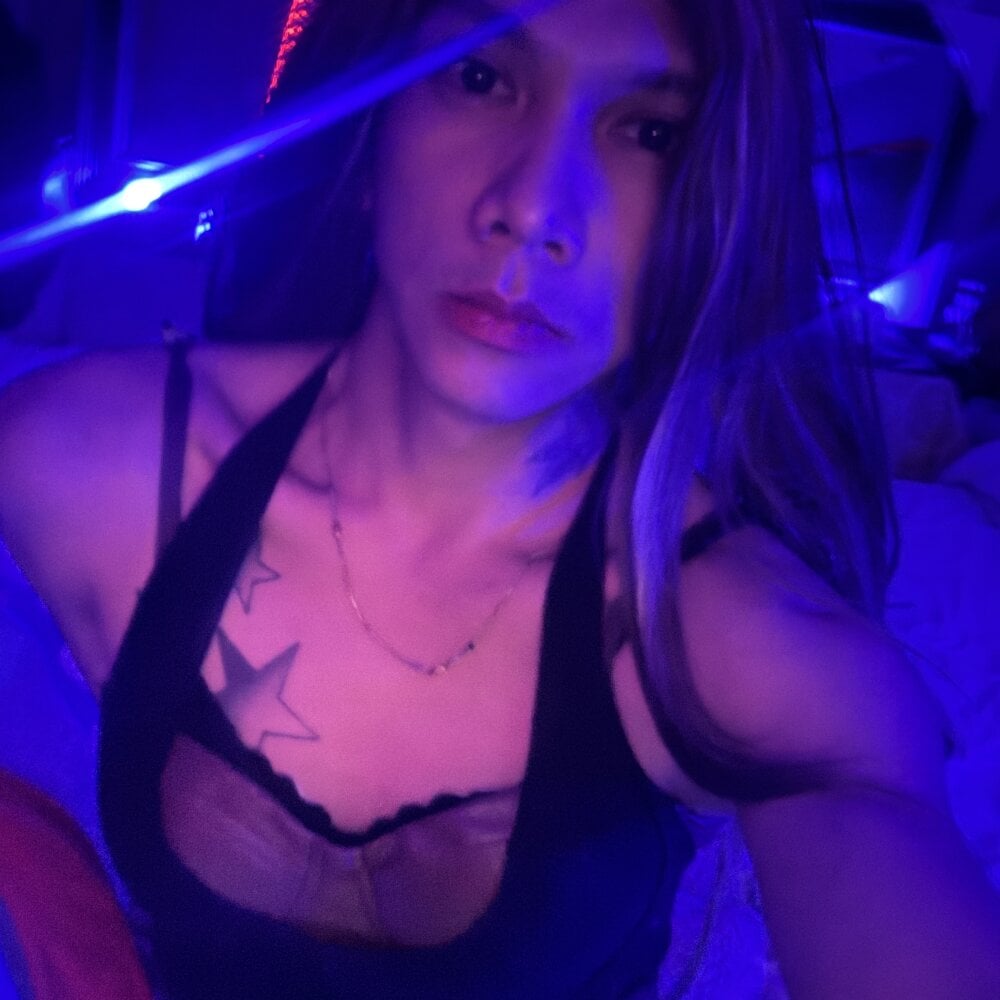 Bbfemboywild Chatroom