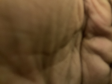 bigdickkk-asss