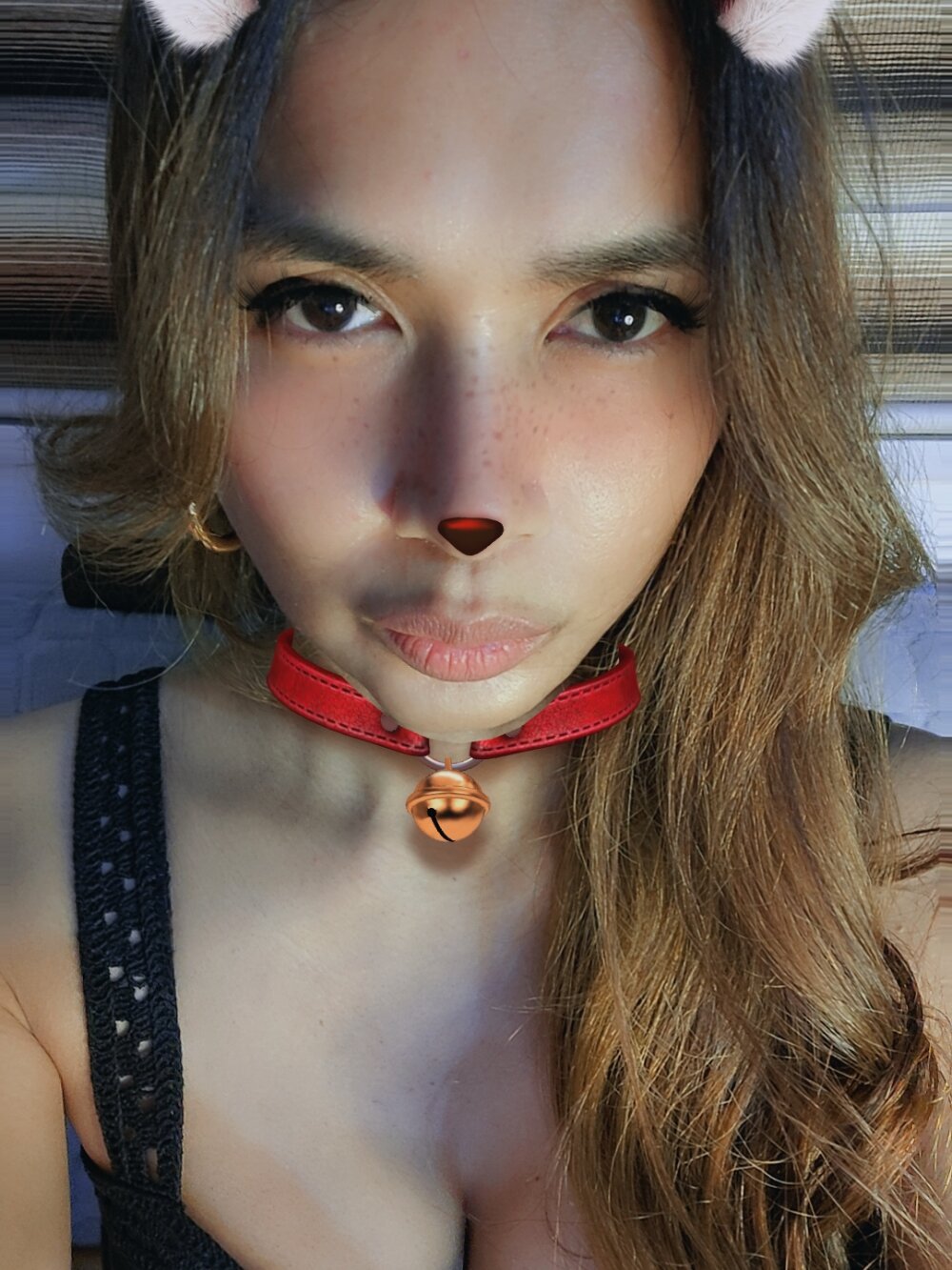 Bigsurpriseforyoux Chatroom