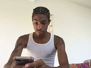blackbulltitus