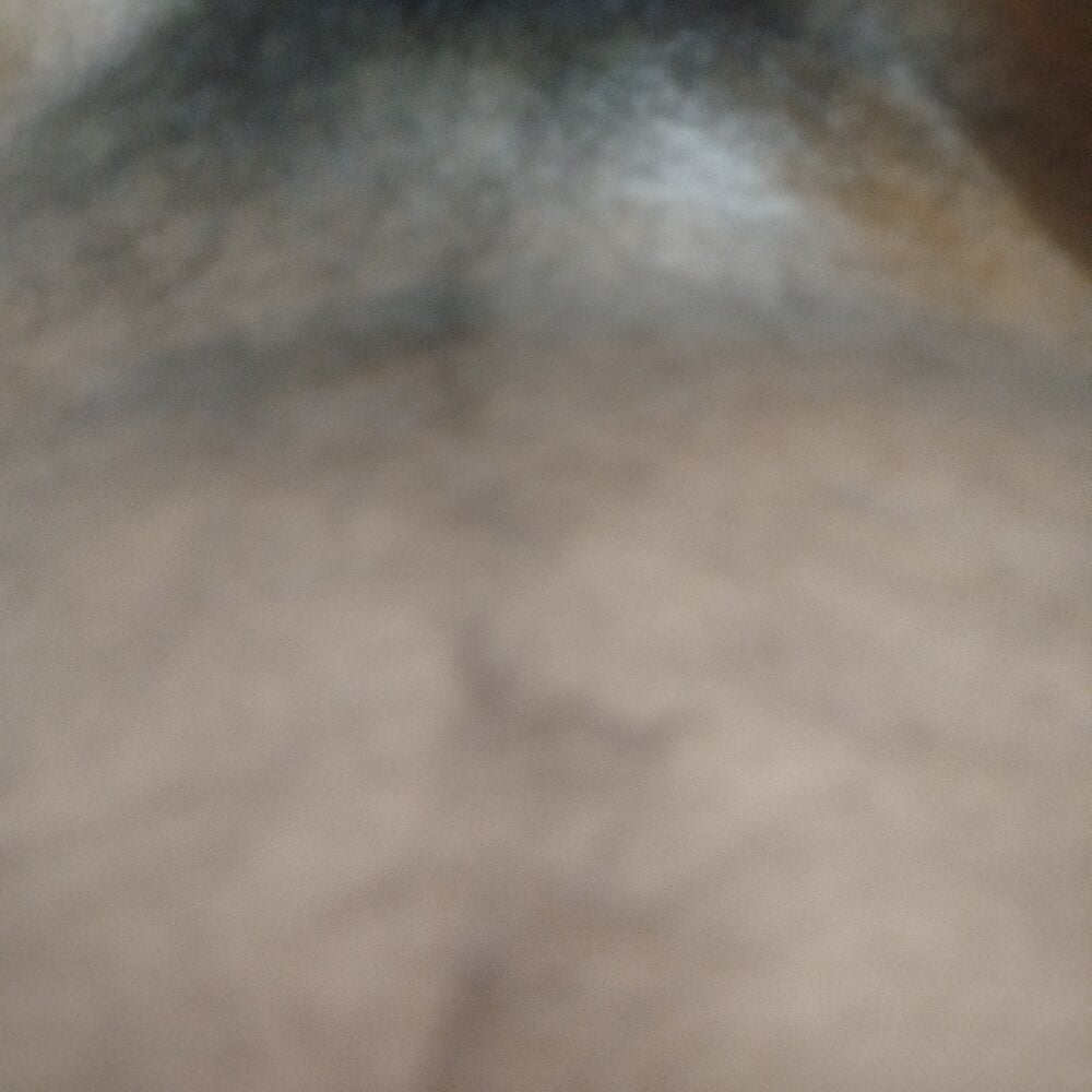 Black_dickSL Chatroom