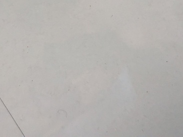 black-guycock