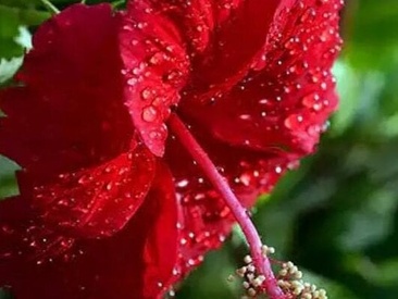 bull-for-cuckold-realmeet's Live Webcam bull-for-cuckold-realmeet