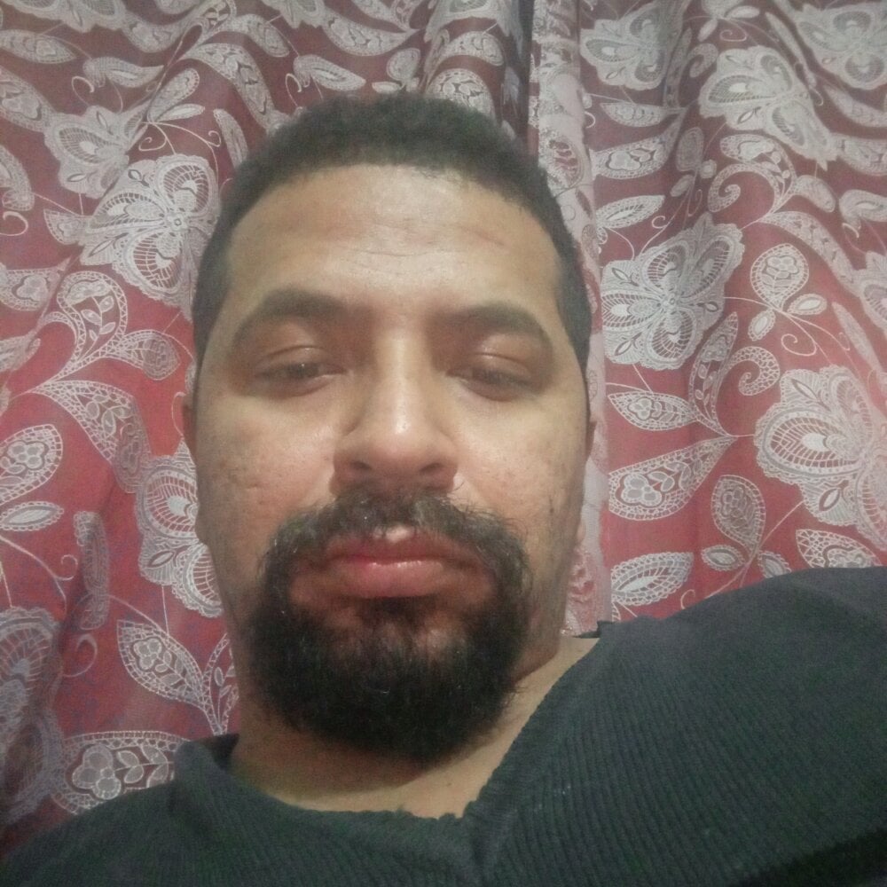 BuskedFester Chatroom