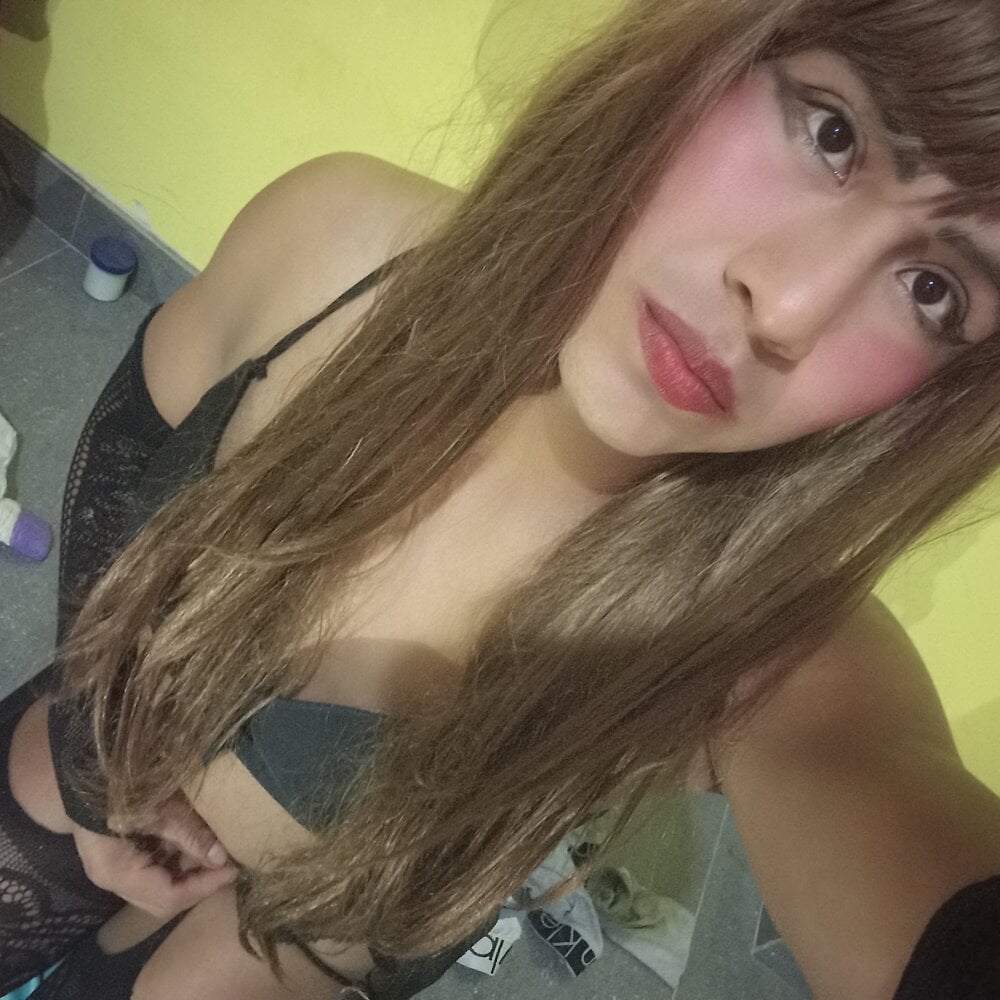 Canelasexo82 Chatroom