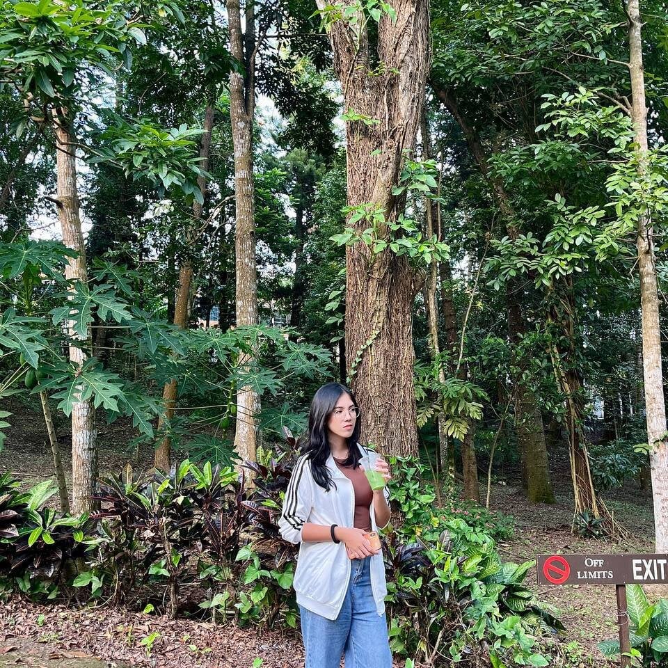 CelestinaMinty Chatroom