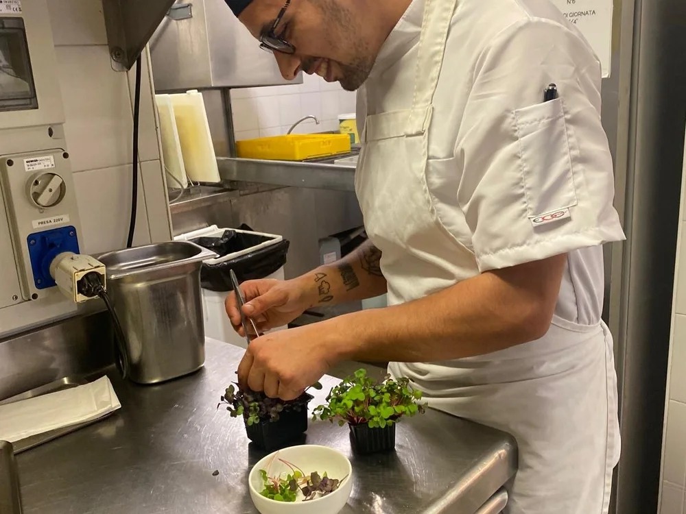 Chef69g Chatroom