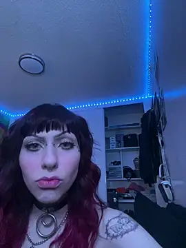 ChrryFoxx Chatroom