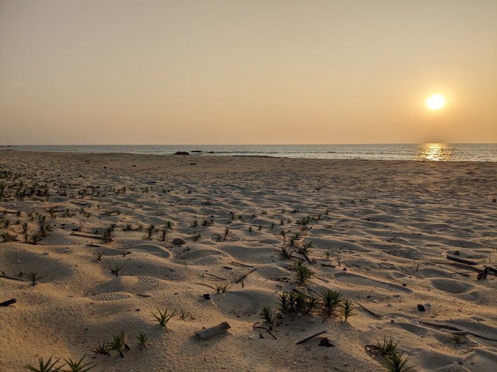 Corporatecouple Chatroom