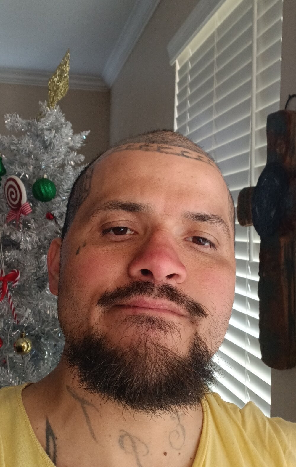 Crazyhorse865775 Chatroom