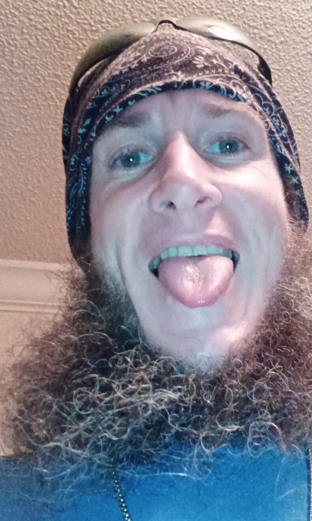 CuddlyFloat88 Chatroom