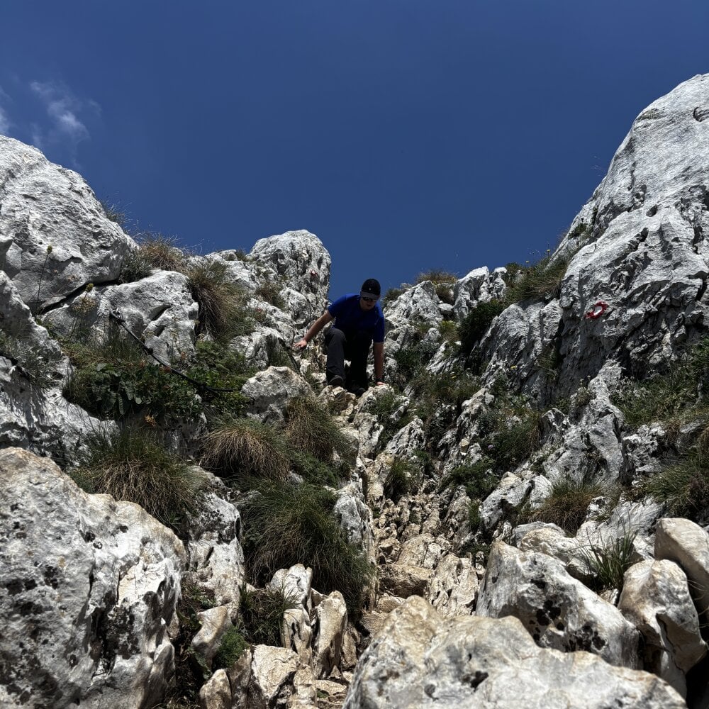 CyberVelvet Chatroom