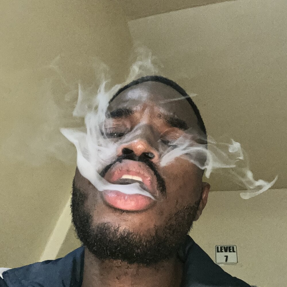 DangerousSafari Chatroom