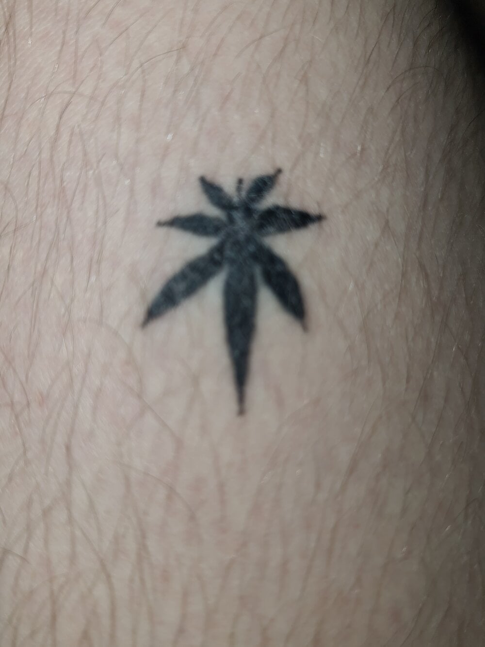 DanielBIGBOY21cm Chatroom