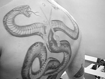 dickzilla-69