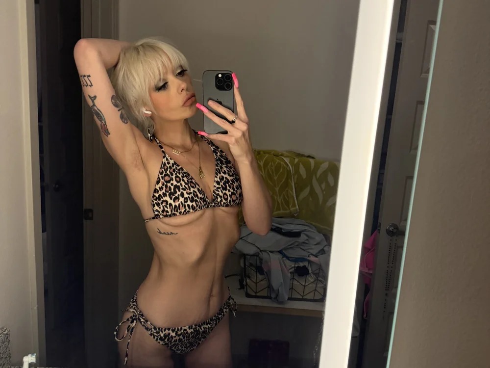 DumbDolly Chatroom