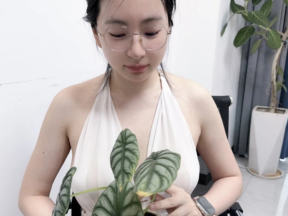 Erya-369 Chatroom