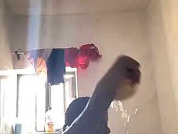 germangoddess1