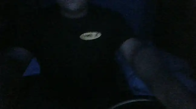 Gorditopies Chatroom