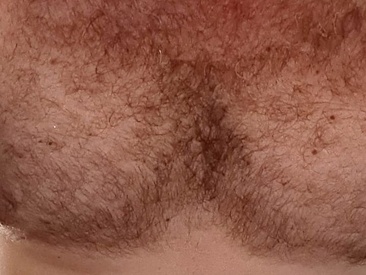 hairybeartopdominant-xh