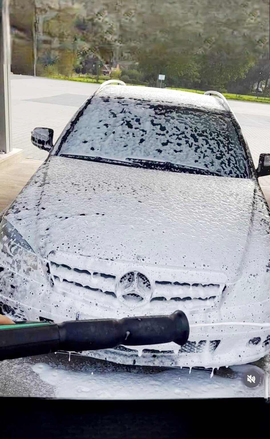 Hot24grizzly Chatroom