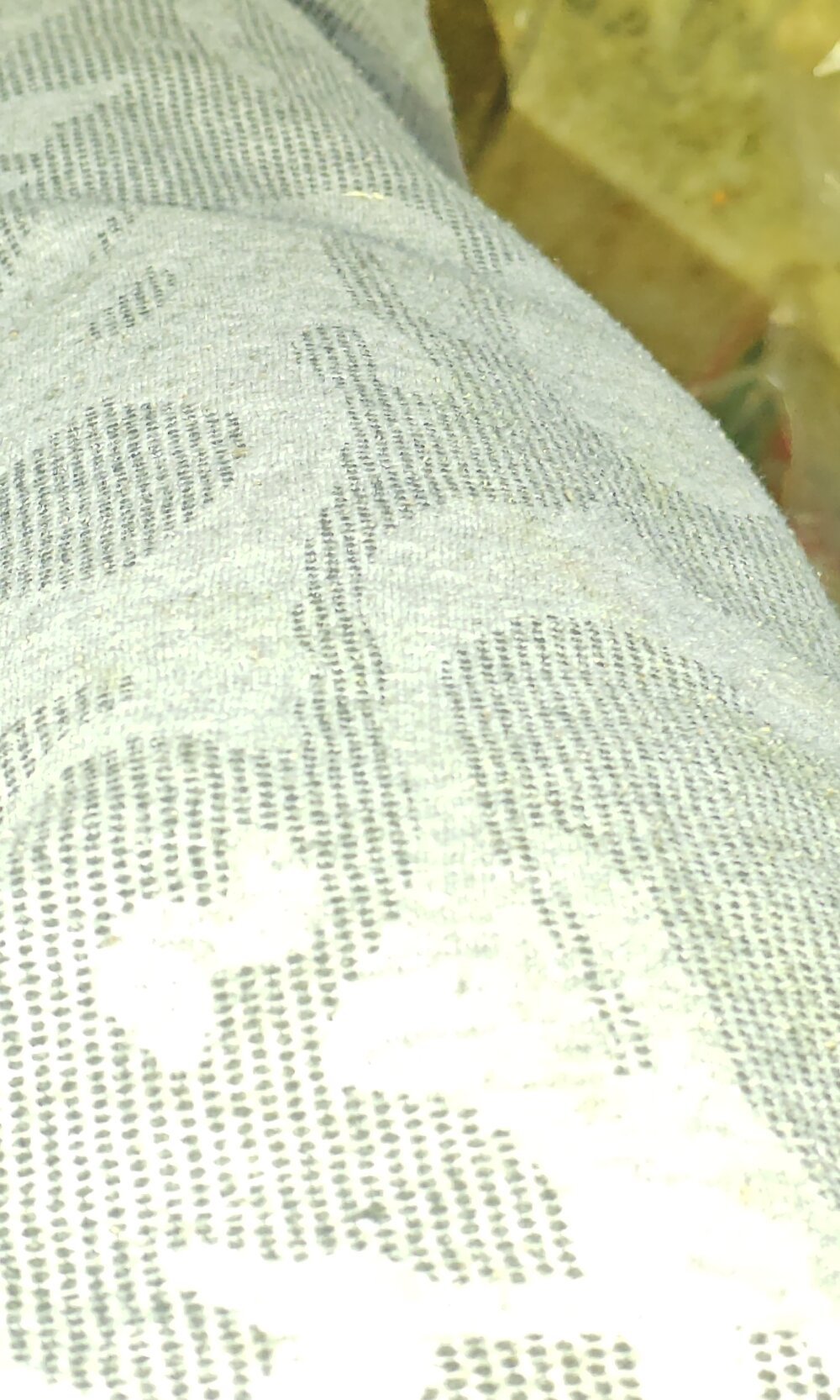 Hunter_rocks7 Chatroom