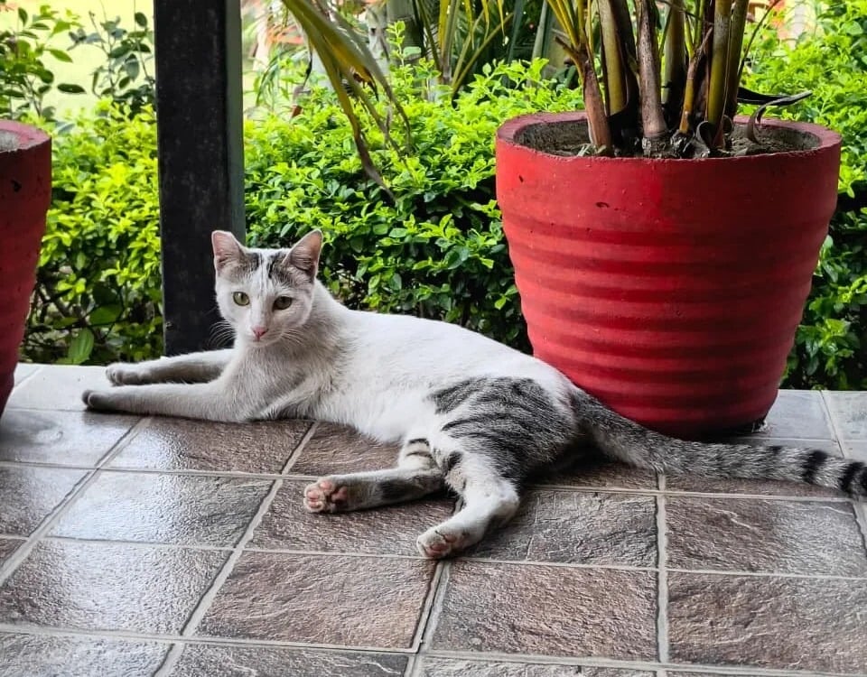 IndianDaddy0 Chatroom