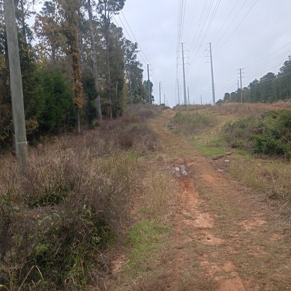 InnocentLetsgetit123 Chatroom