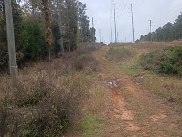 innocentletsgetit123