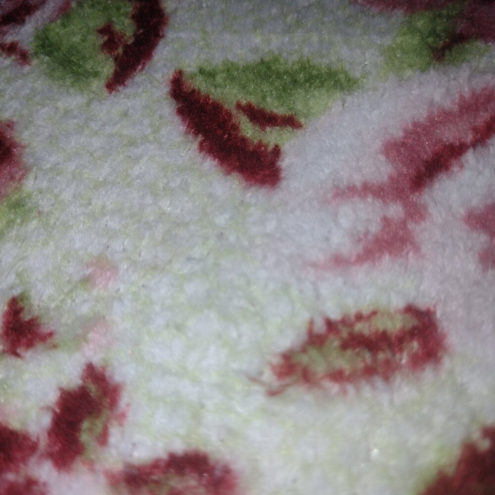 JuliaFonseca Chatroom