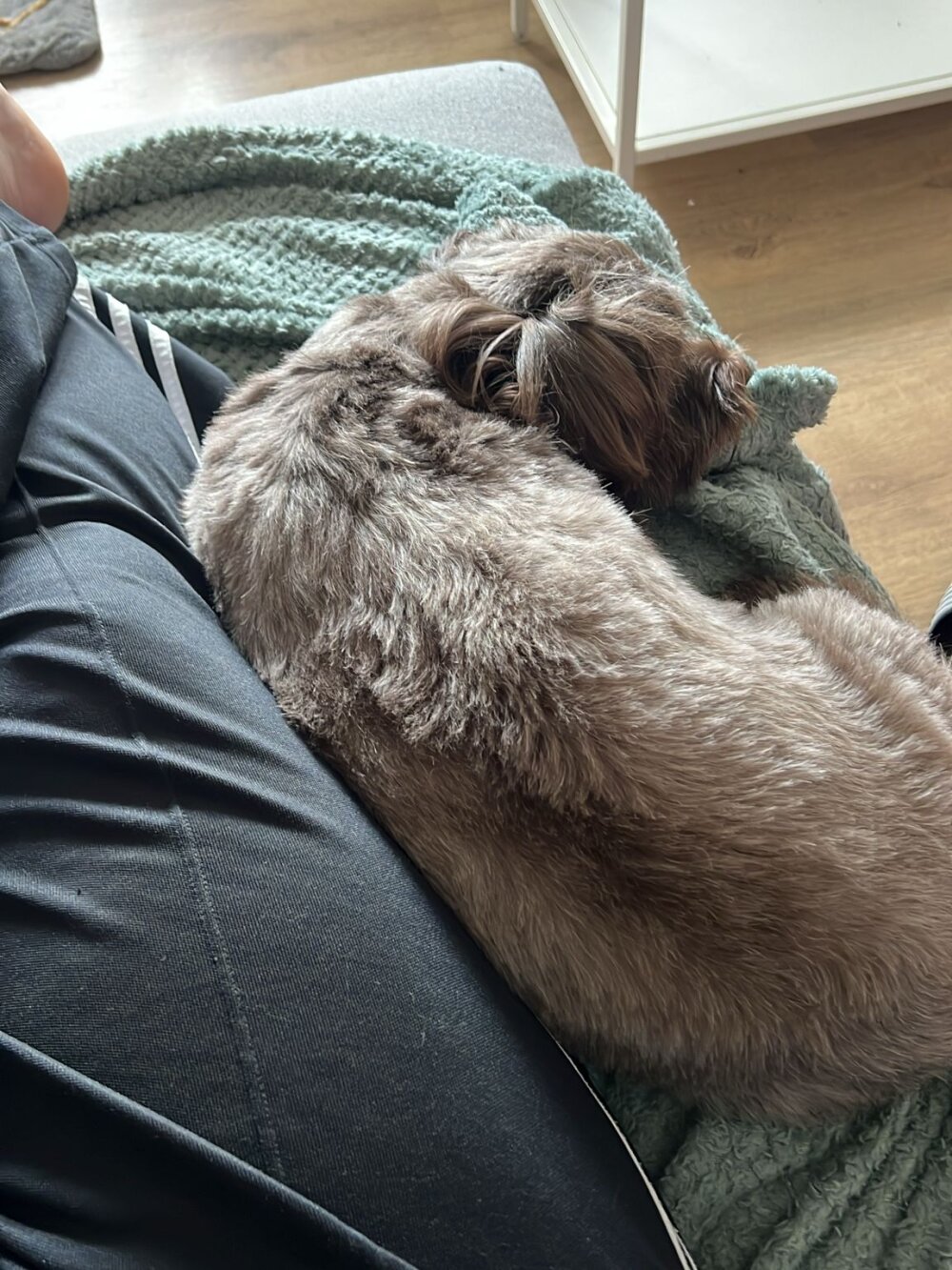 Jungfrau_NRW Chatroom