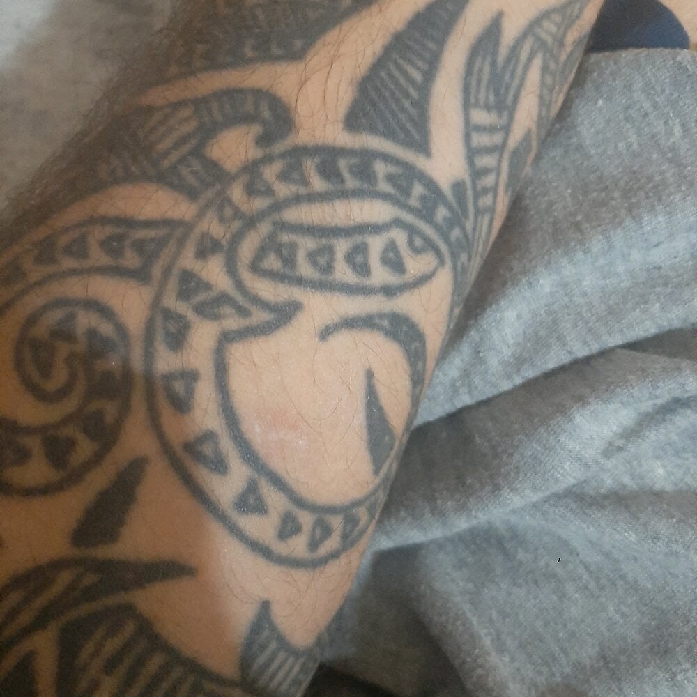 Jusilva8452 Chatroom