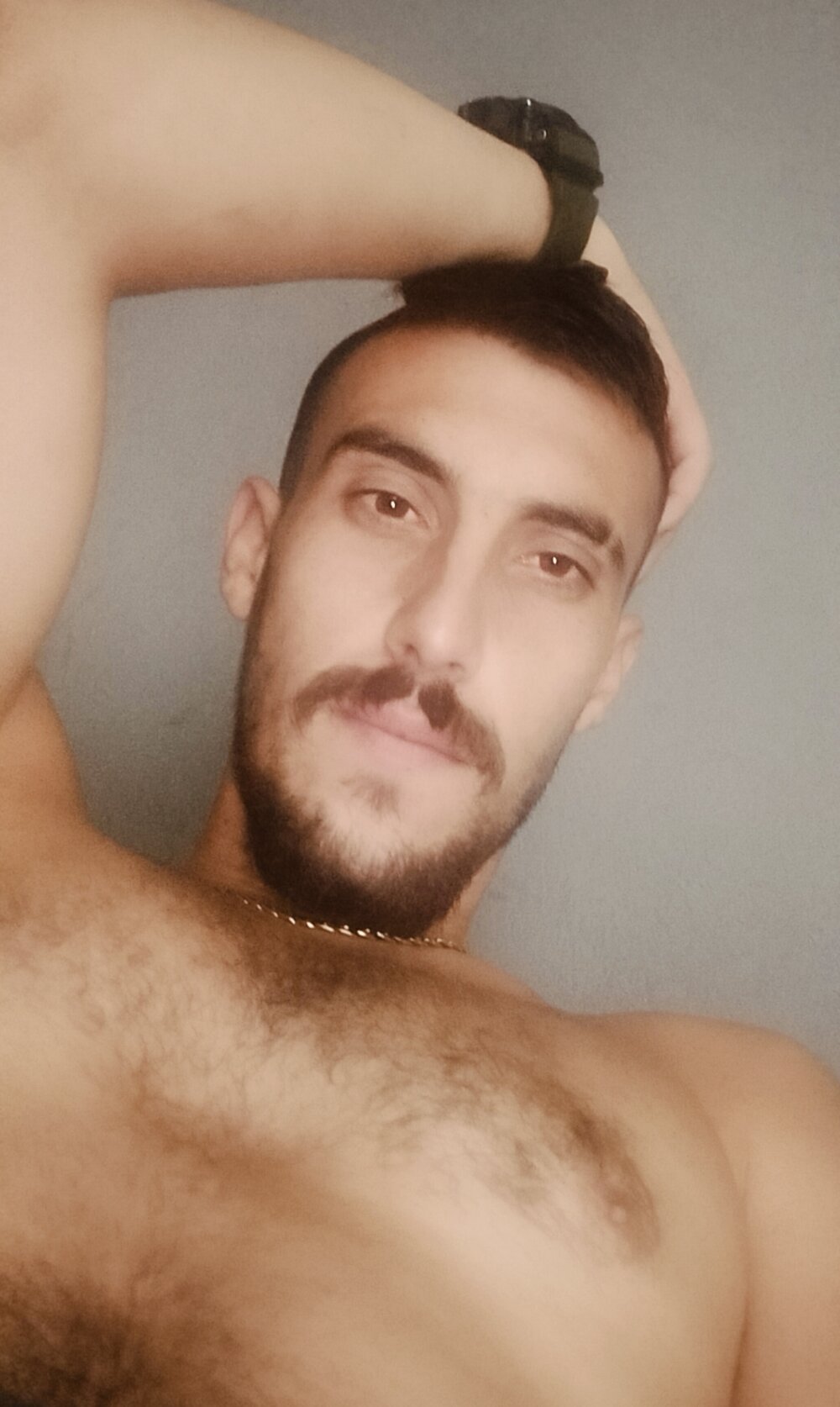 Kaulozeugaro Chatroom