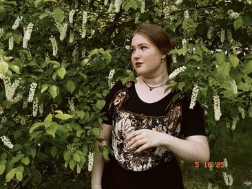kitten-marguerit