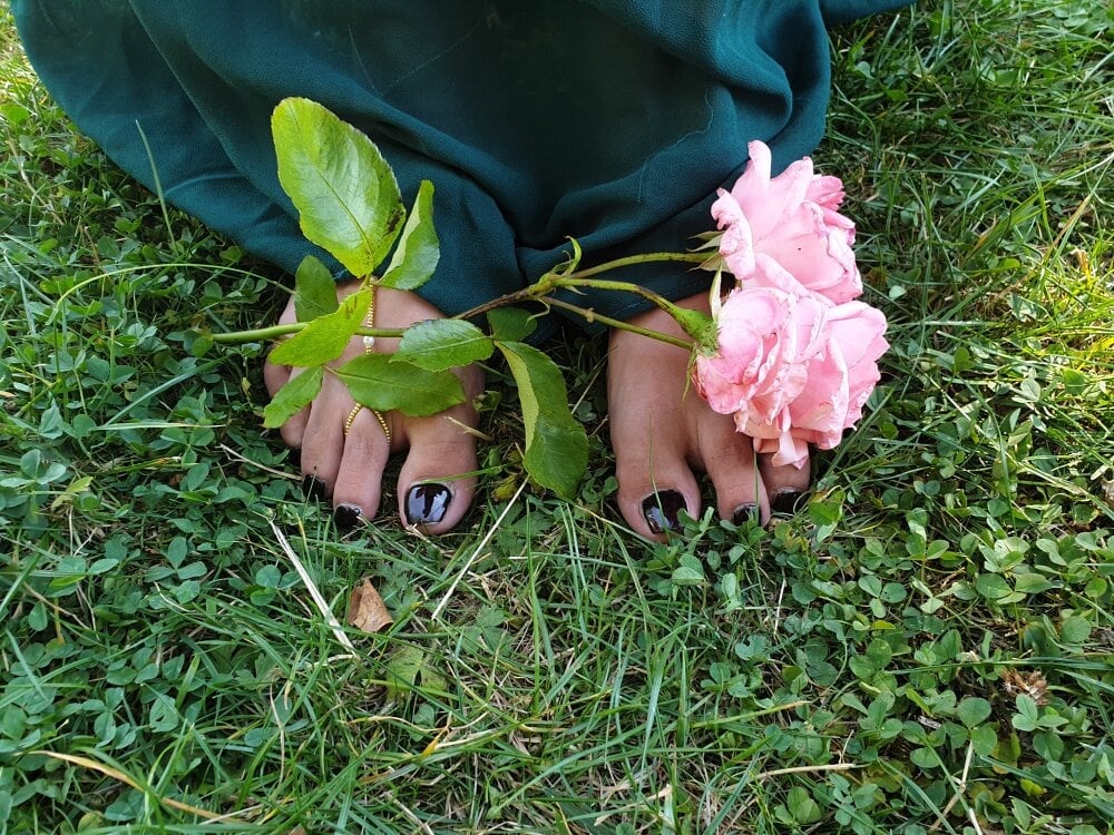 LadyNocturne Chatroom