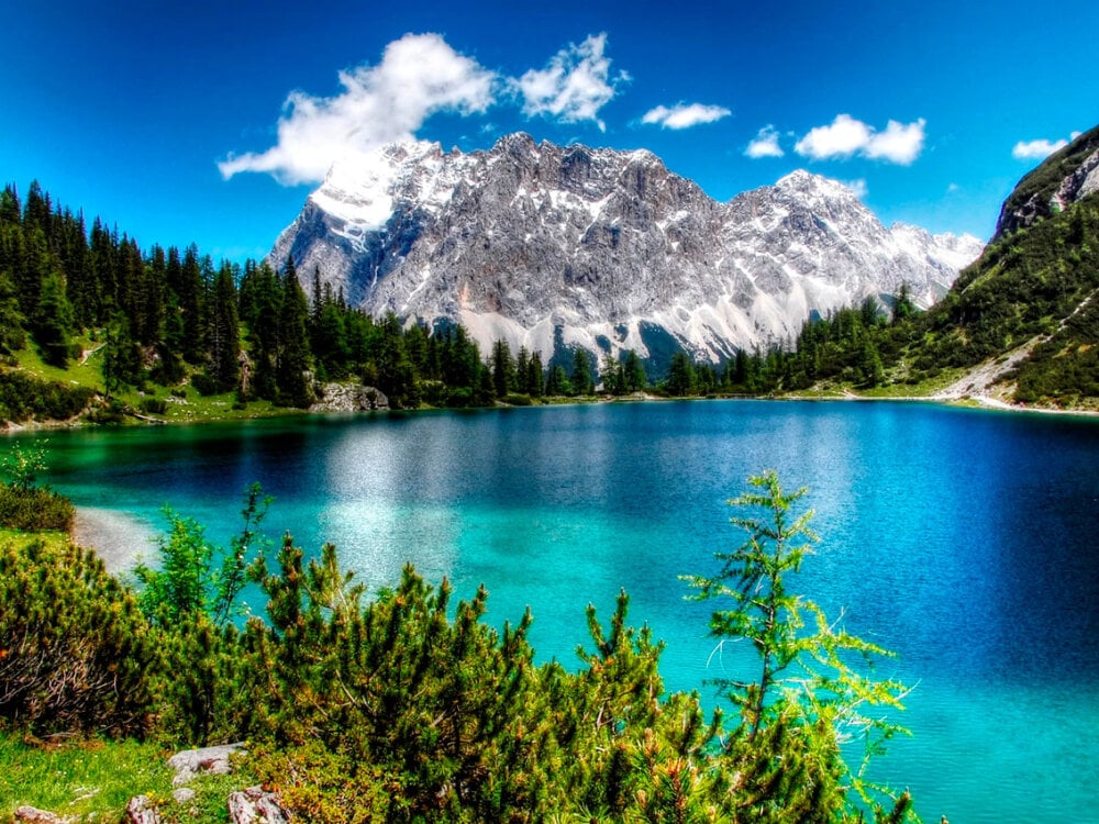 Lady_venom_ Chatroom