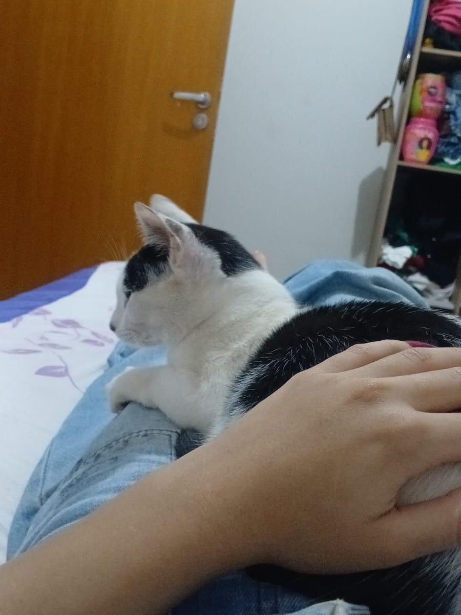 LeasedTinge Chatroom