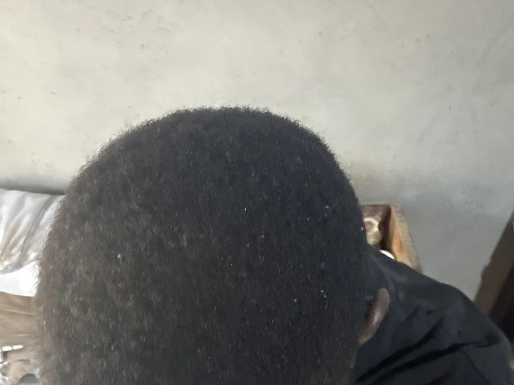 Leeszim26 Chatroom
