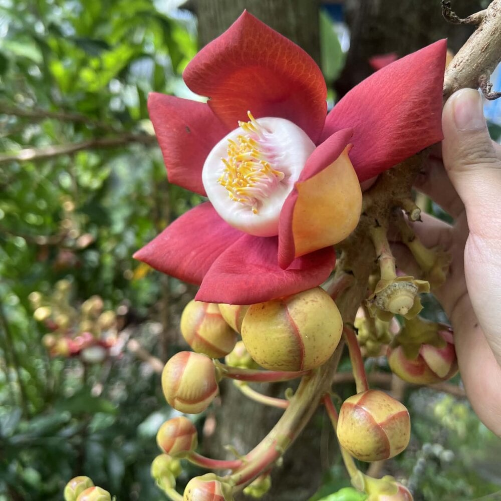 LoveDirty3x Chatroom